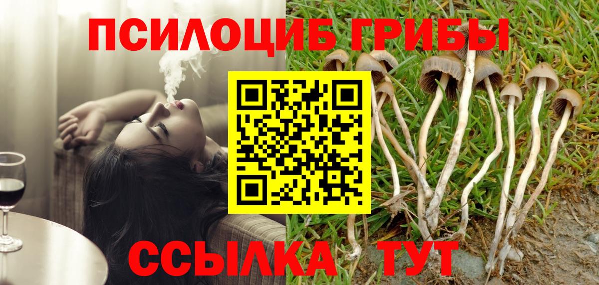 Псилоцибиновые грибы GOLDEN TEACHER Елец