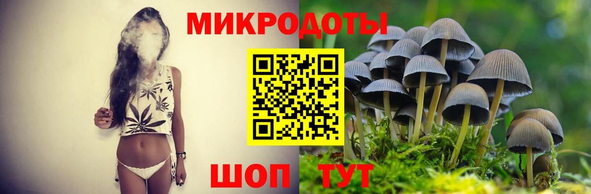 Елец  Галлюциногенные грибы MAGIC MUSHROOMS  Вход с VPN 
